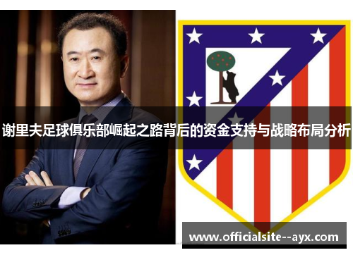 谢里夫足球俱乐部崛起之路背后的资金支持与战略布局分析