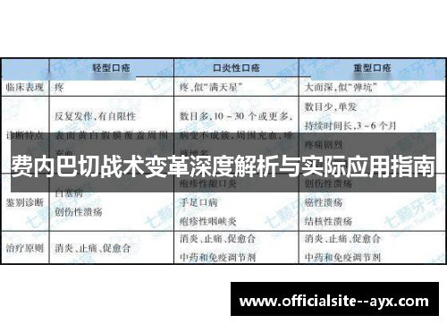 费内巴切战术变革深度解析与实际应用指南