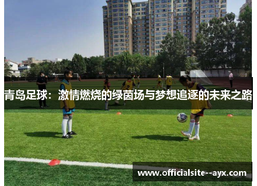 青岛足球：激情燃烧的绿茵场与梦想追逐的未来之路