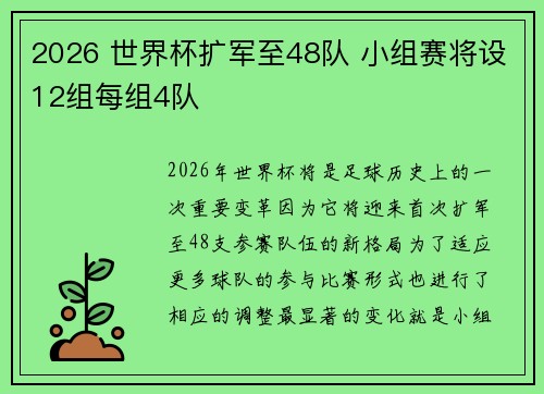2026 世界杯扩军至48队 小组赛将设12组每组4队