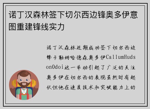 诺丁汉森林签下切尔西边锋奥多伊意图重建锋线实力 诺丁汉森林签下切尔西边锋奥多伊意图重建锋线实力