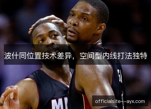波什同位置技术差异,空间型内线打法独特 波什同位置技术差异,空间型内线打法独特